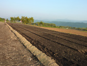 家庭菜園用地 家庭菜園用地