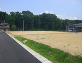 小森の里Ⅴ 小森の里Ⅴ